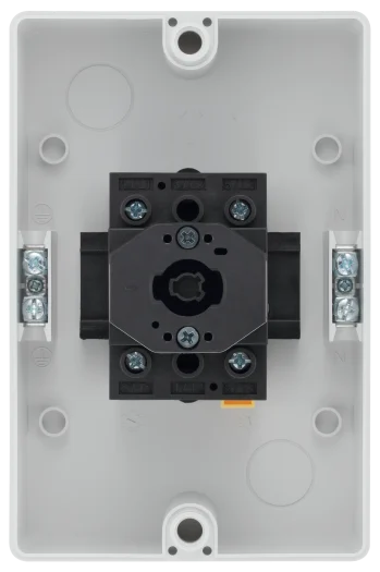 Rotary Isolator, 40A 2 Pole for a Single Phase - Image 2